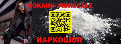 стафф Дубна
