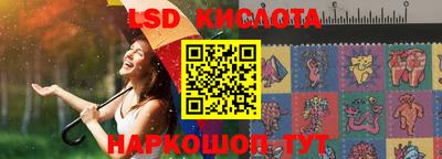 стафф Дубна