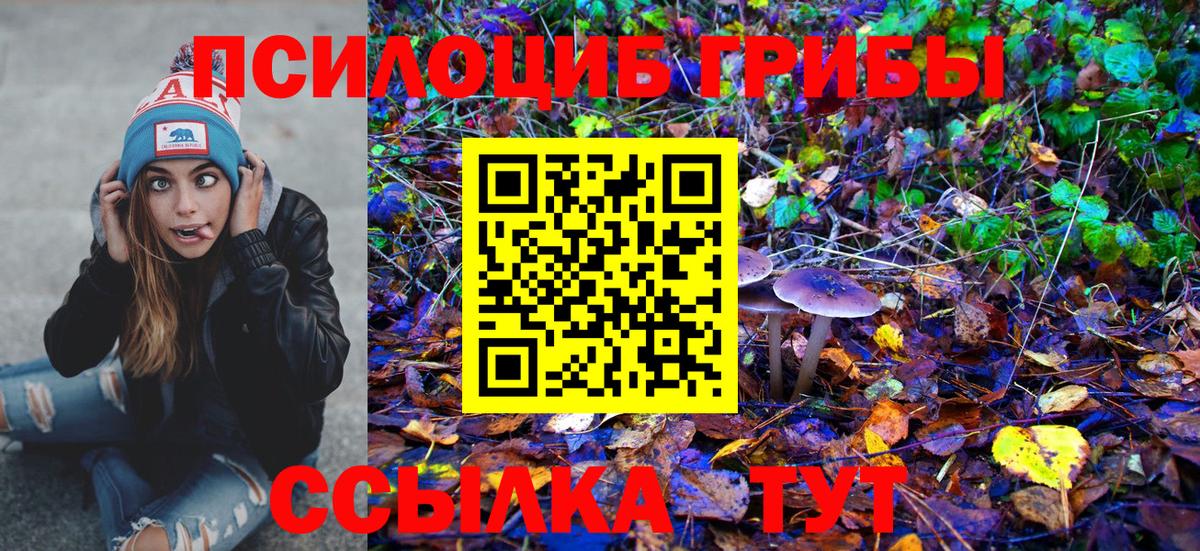 купить наркоту  Галлюциногенные грибы MAGIC MUSHROOMS  Вход с VPN  Кимры 